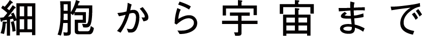 title_service