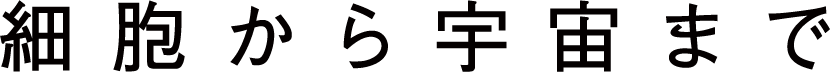 title_service